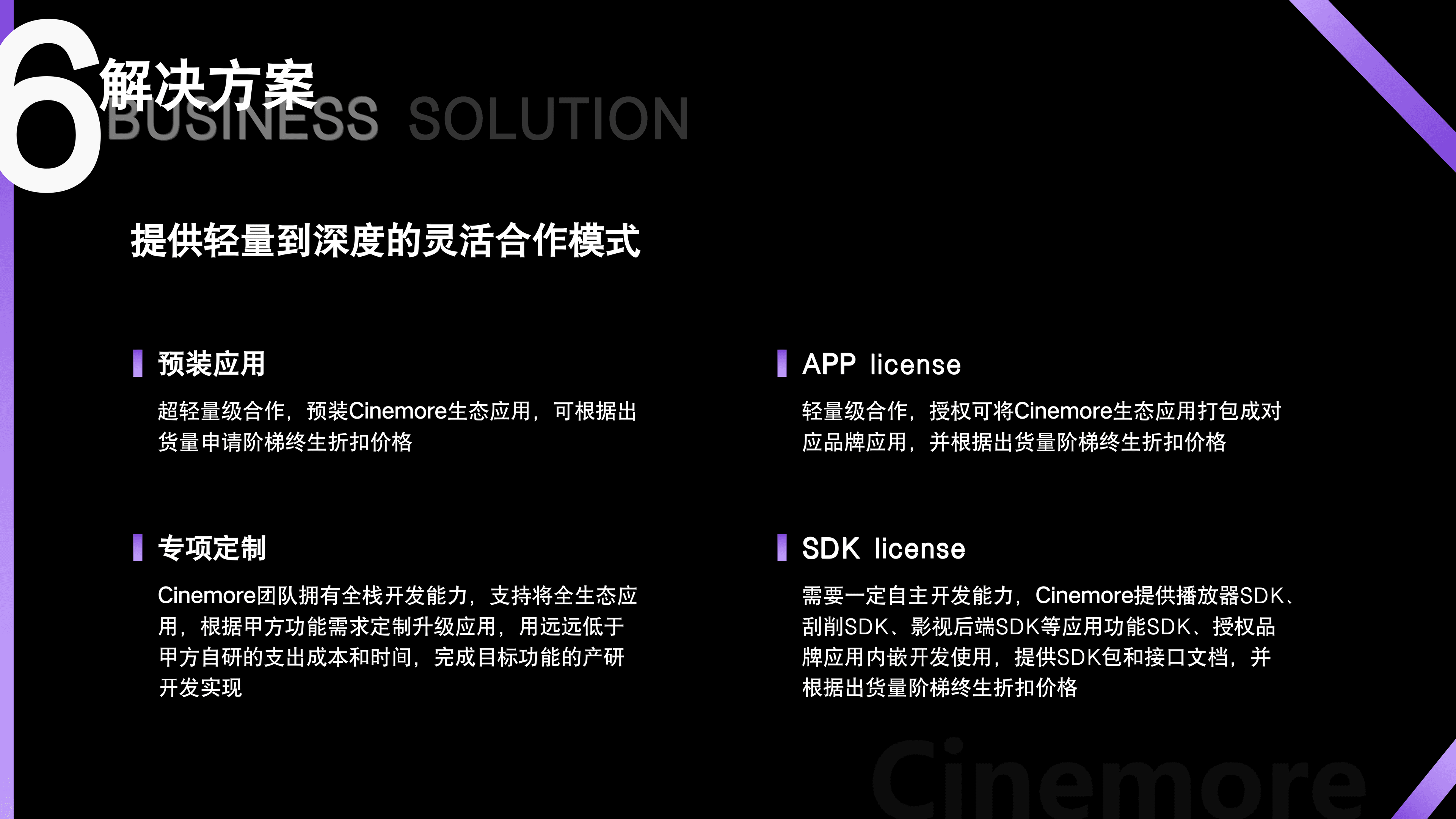 Business Solution 1